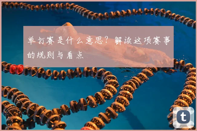 单打赛是什么意思？解读这项赛事的规则与看点
