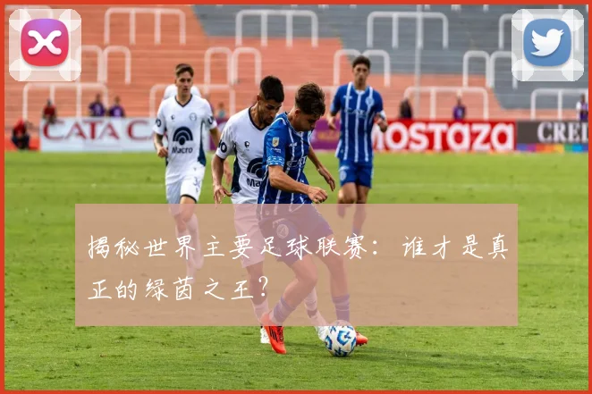 揭秘世界主要足球联赛：谁才是真正的绿茵之王？