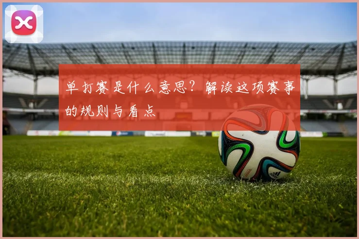 单打赛是什么意思?解读这项赛事的规则与看点