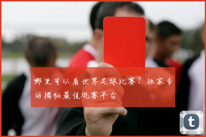 哪里可以看世界足球比赛?独家专访揭秘最佳观赛平台
