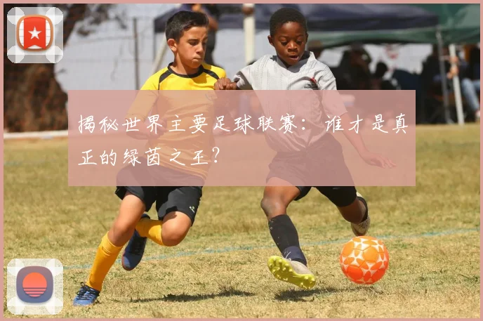 揭秘世界主要足球联赛:谁才是真正的绿茵之王?